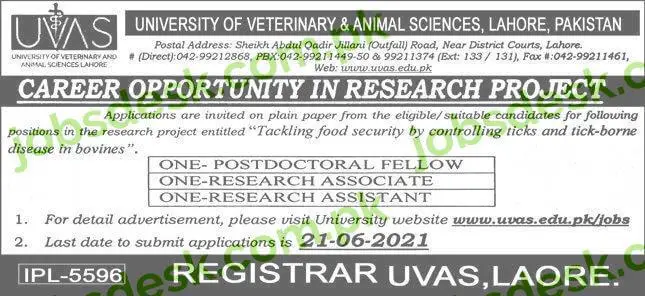 University of Veterinary and Animal Health Sciences UVAS Jobs